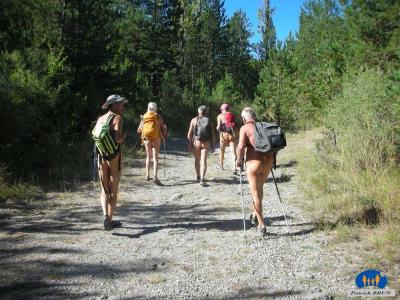 Chemin sur le départ avant le ruisseau - 8791a