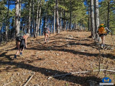 Montée en sous-bois au-dessus des Tours 2025