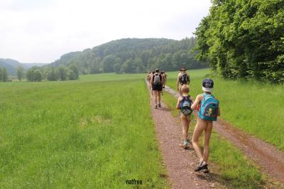 Prairies et forêts.