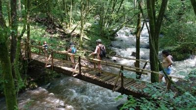 Passerelle sur le torrent.